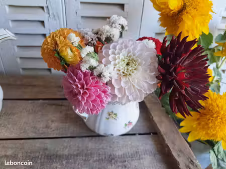 recherche terrain pour projet floriculture