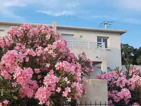a l; annee - t3 - garage - jardinet- ghisonaccia