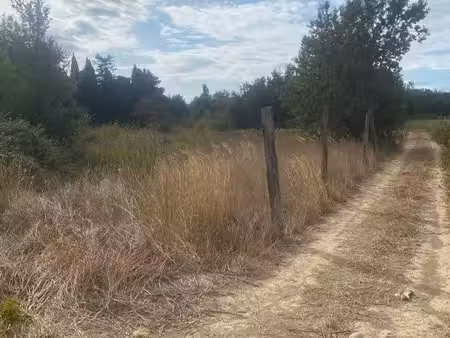petit terrain agricole