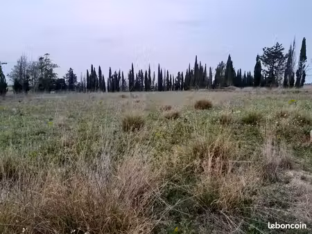 terrain agricole 3.7ha sur la commune de claira avec forage