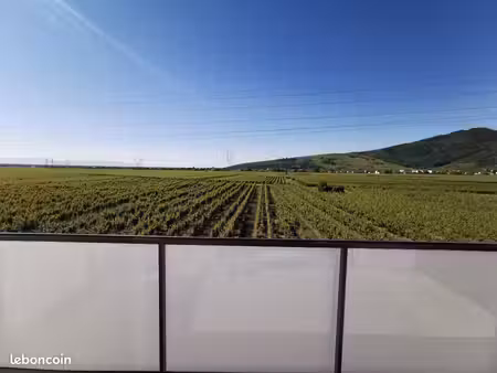 bien rare au cœur du vignoble à turckheim ?