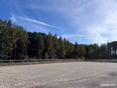 location maison avec écurie et carrière (chevaux)
