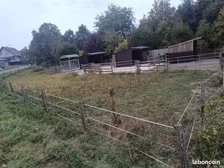 petite écurie à louer