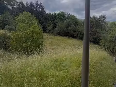 terrain de 20 ares à louer – niederbronn-les-bains – proche casino