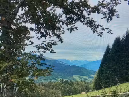chalet d'alpage ( vallée verte)
