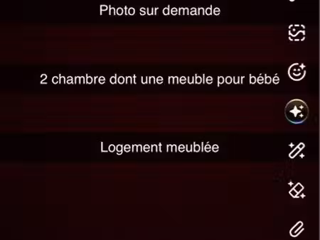 logement t3