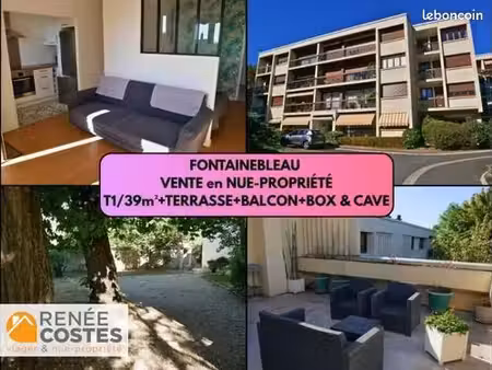 appartement en viager 1 pièce 39 m²