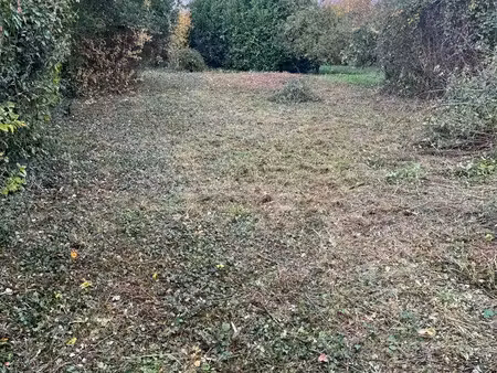 terrain constructible 615m