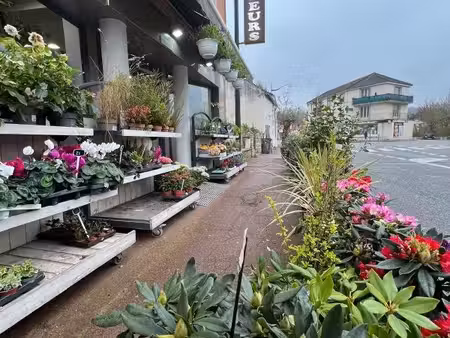 cession de fonds fleuriste st-rémy-lès-chevreuse (78) pour cause de départ en retraite