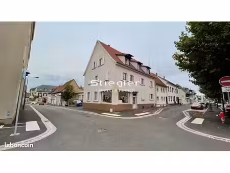 immeuble 299 m² bischwiller