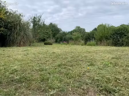 terrain viabilisé
