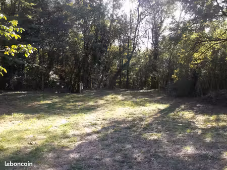 location d'un terrain