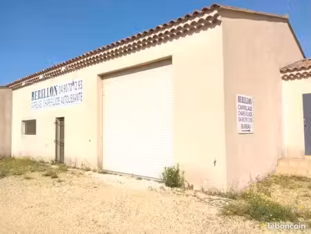hangar et bureau locaux professionnels