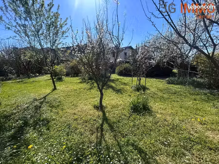 gaillac centre-ville | terrain constructible 55000