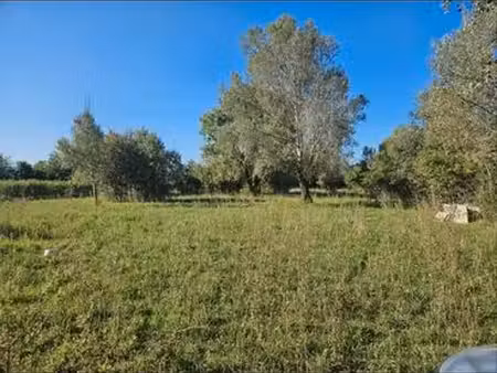 terrain agricole