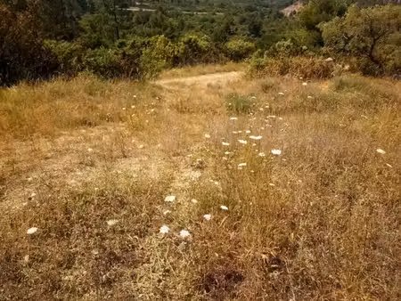 urgent recherche terrain autour de montauban