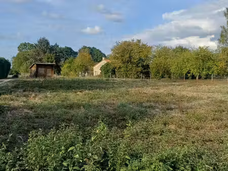 vente terrain à panazol