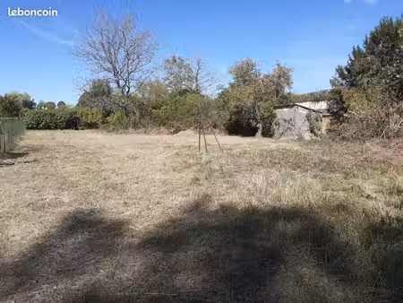 terrain potager et verger - 1100m2