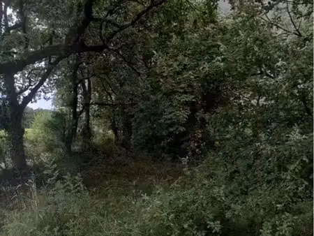 terrain de loisir saint mathurin