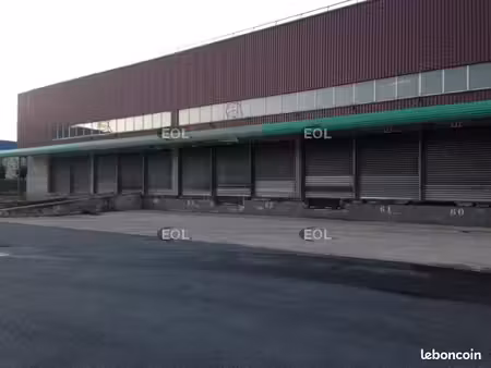 local logistique 1 325 m²
