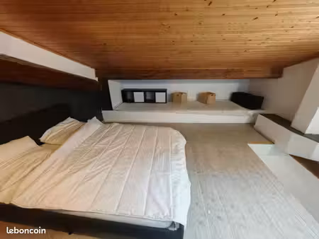 appartement t2 loué à serriere