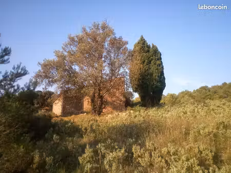 terrain 21 hectares en autonomie
