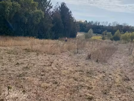 terrain à bâtir