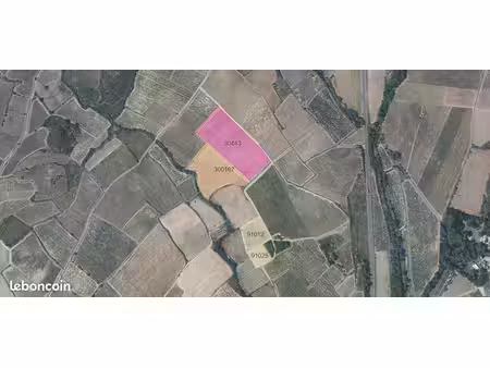 vente parcelles de vignes autignac