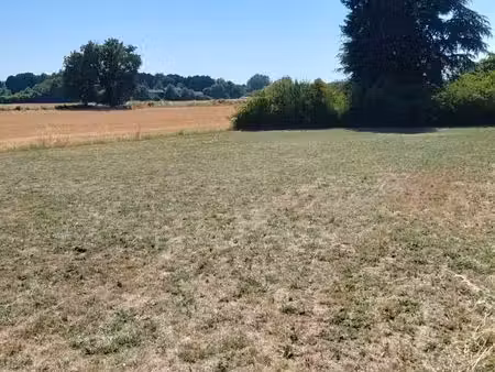 terrain constructible