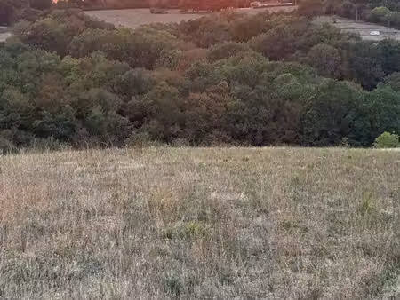 terrain agricole