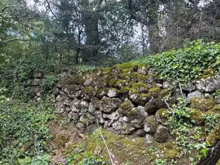 terrain non constructible | forêt