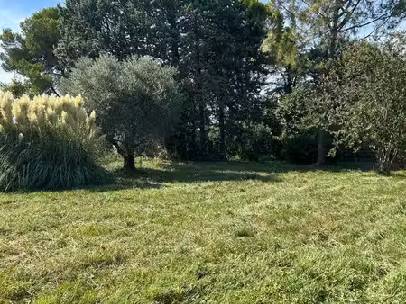 terrain viabilisé