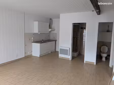 appartement t2 lumineux