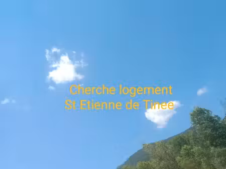 cherche logement st etienne de tinée