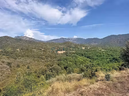 maison récente 110 m² ? terrain 1 010 m² ? fort potentiel ? sant'andrea-d'orcino