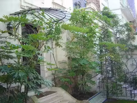 maison de luxe à vendre dans le quartier bac-bécon-flachat-colombes
