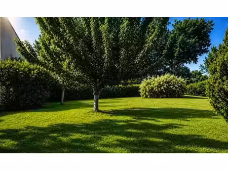 vente terrain 440 m² à puilboreau (17138)  235 000 €
