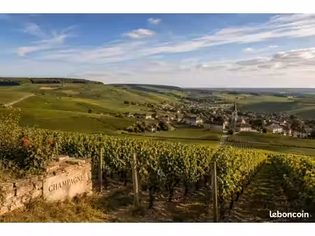 terrain 646 m² taissy