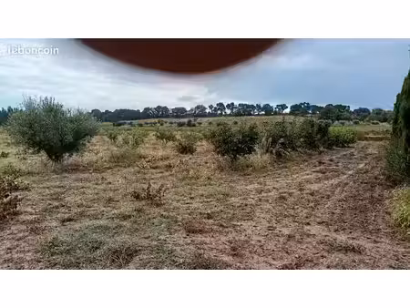 immobilier  terrain agricole
