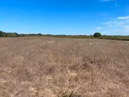 terrain agricole de 16 700 m2
