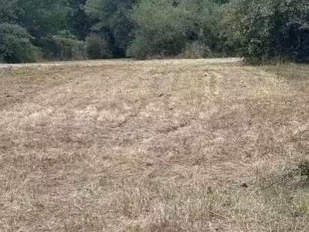 terrain diffus de 1240 m² présenté par les demeures d'aquitaine borné et non viabilisé sur