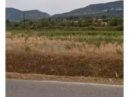 terrain agricole