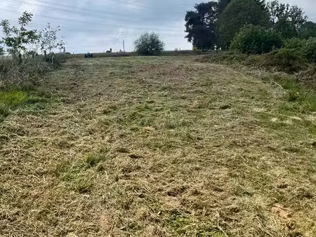 terrain a pâturé