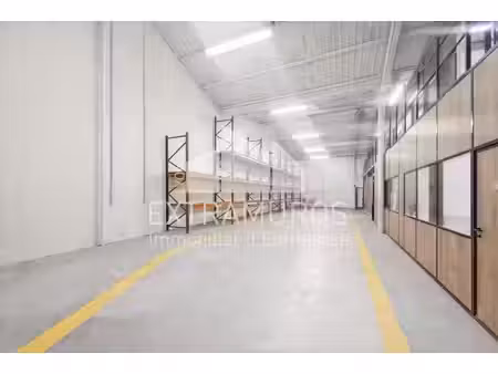location local d’activités meyzieu 69330 440m²