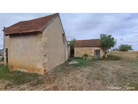maison à vendre 2 pièces ambrault (36)