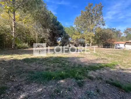 terrain constructible de 1261 m²