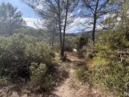 vente notariale interactive - ch des rigaous - 83210 sollies-toucas (var) - terrain a bati