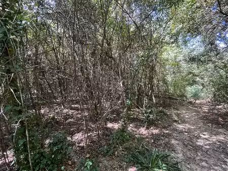 terrain en zone naturelle de 4042 m2