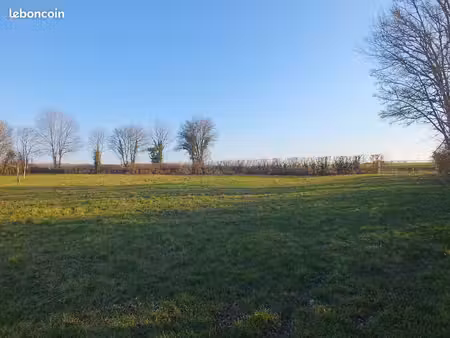 terrain 5 990 m² musigny