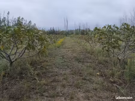 terrain agricole